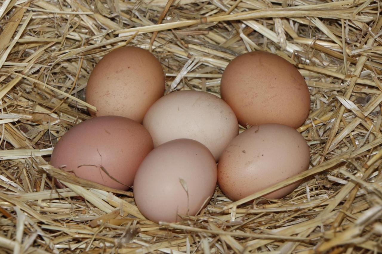 Affittacamere La Casa De Consuelo 3 Viérnoles Esterno foto