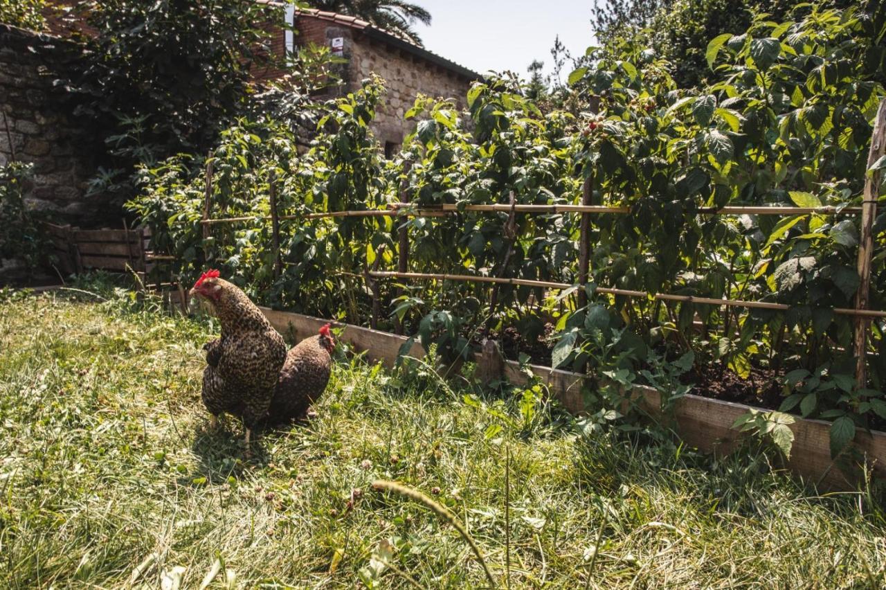 Affittacamere La Casa De Consuelo 3 Viérnoles Esterno foto