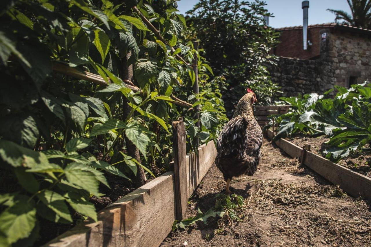 Affittacamere La Casa De Consuelo 3 Viérnoles Esterno foto
